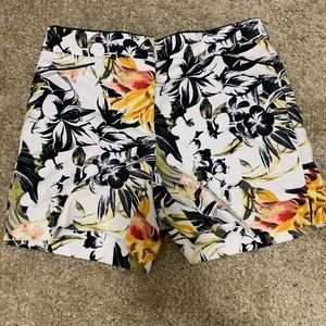 WHBM shorts